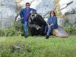 3-monkeys