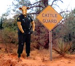 cattle-guard