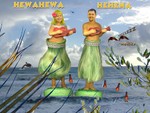 j&h hula.jpg