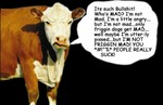 madcow