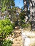The Lake trail.