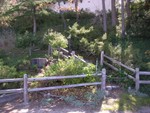 pict2853.jpg