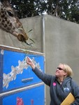 Heidi feeding her favorite animal